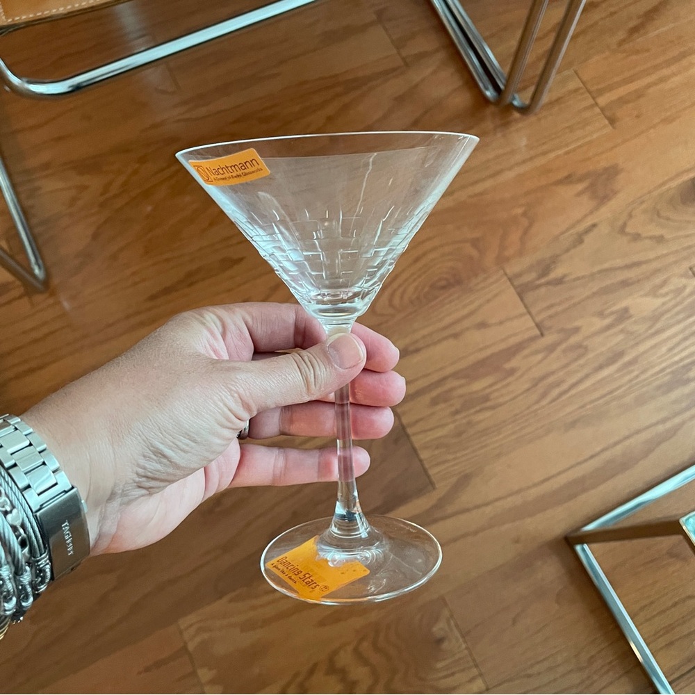 Nachtmann by Reidel "Bossa Nova" martini glasses (4)
